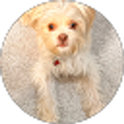 Profile photo of AnnJoy