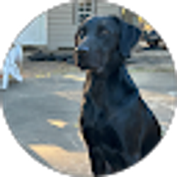 Profile photo of Jay Janous