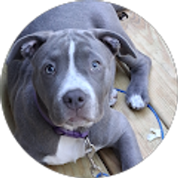 Profile photo of Jennette Plotts