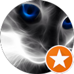 Profile photo of Blue Daisy