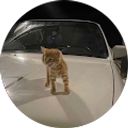 Profile photo of tasnim shitab