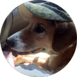 Profile photo of Kimberly Falin