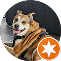 Profile photo of Alan M Gould