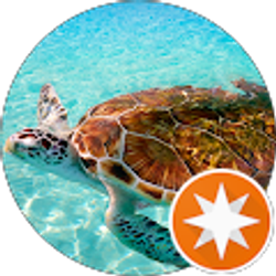 Profile photo of Flash Gordon & Capone