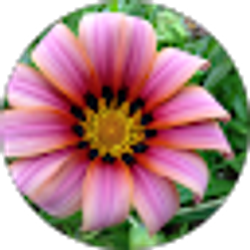 Profile photo of HAYDEN LEUNG