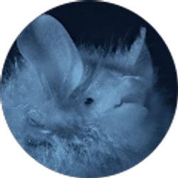 Profile photo of Cameron Falkingham