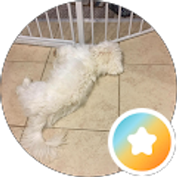 Profile photo of QT HN