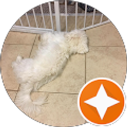 Profile photo of QT HN