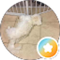 Profile photo of QT HN