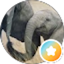 Profile photo of k ann