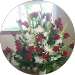 Profile photo of Olga Nimych