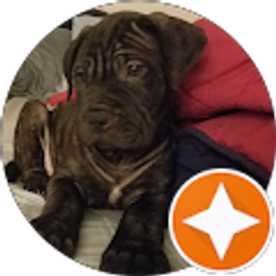 Profile photo of Cheryl Gurjansky