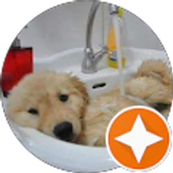 Profile photo of Elise Munson