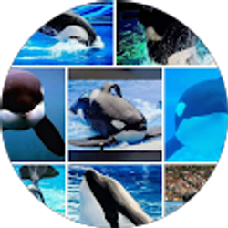 Profile photo of Kimberly Pointer