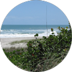 Profile photo of Art Time