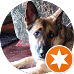 Profile photo of Josh Geckles