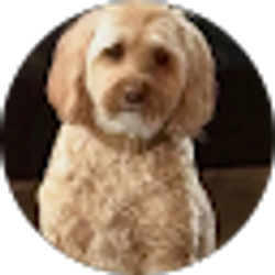 Profile photo of Linda Lawrence