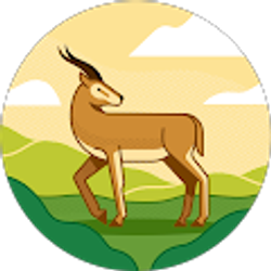 Profile photo of Harwinder Brar