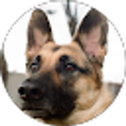 Profile photo of Stephen B
