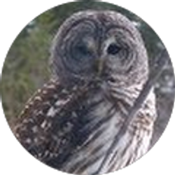 Profile photo of Steve & Sue