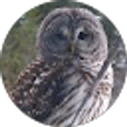 Profile photo of Steve & Sue