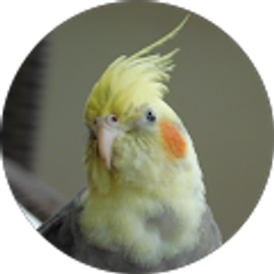 Profile photo of Iz Oostermeyer