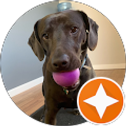 Profile photo of Victor Gaudin