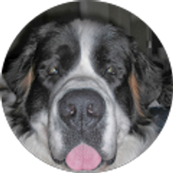 Profile photo of Stephen L.