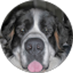 Profile photo of Stephen L.