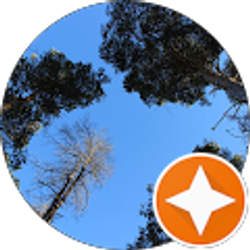 Profile photo of Rajwan Alshareefy