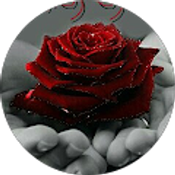 Profile photo of Adela Ventura