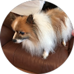 Profile photo of Donna Hodges