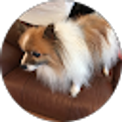 Profile photo of Donna Hodges