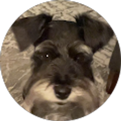 Profile photo of Maricela Contreras