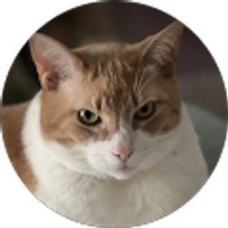 Profile photo of ruggabear