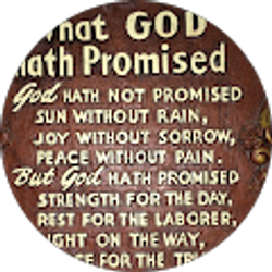 Profile photo of Raquel Nichols