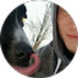 Profile photo of Collin Hansen