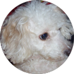 Profile photo of Sheri Gourley