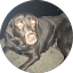 Profile photo of Josh Hemphill