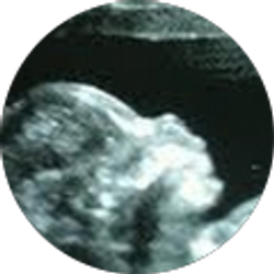 Profile photo of Clarissa Pardue