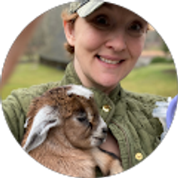 Profile photo of Jennifer Ciarlo