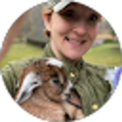 Profile photo of Jennifer Ciarlo