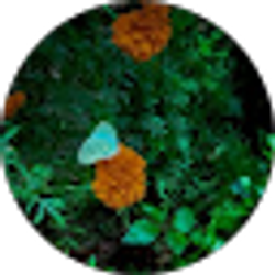 Profile photo of Anjana M