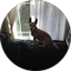 Profile photo of Su Phan