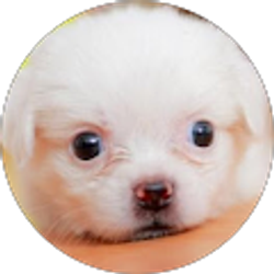 Profile photo of jessica z
