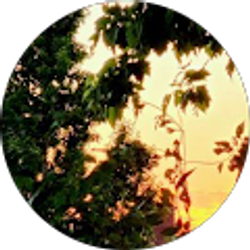 Profile photo of Dusty Benedict