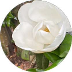 Profile photo of Melody Brown