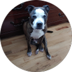 Profile photo of falin epps