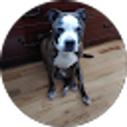Profile photo of falin epps