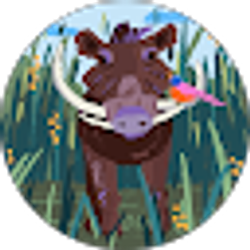 Profile photo of Kay